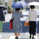 親の認知症に悩む子を助ける新種保険の正体 | 保険
