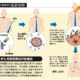 がん細胞を破壊する画期的な治療法は、テレビリモコンと同じ光を当てる？　医師が解説 〈週刊朝日〉