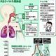 ＲＳウイルス感染症の対策…重症化予防に注射薬 : yomiDr. / ヨミドクター（読売新聞）